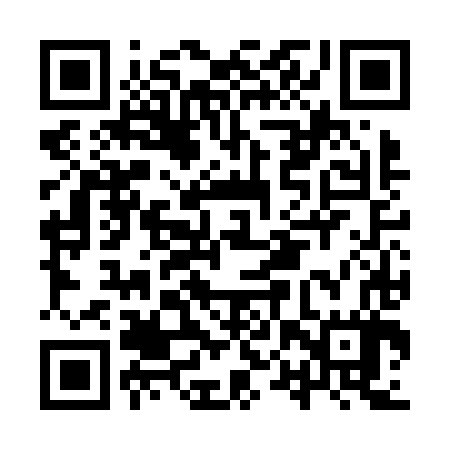 QR code for IPVN87