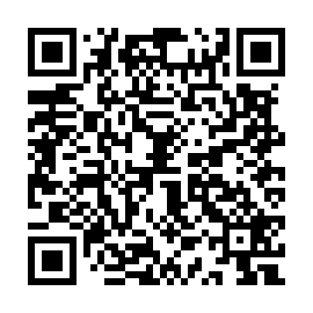 QR code for IQRM29