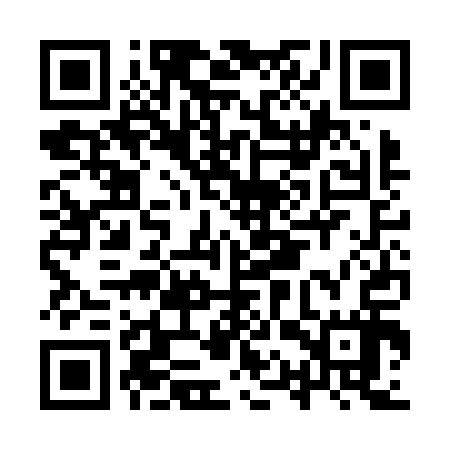 QR code for IQSN17