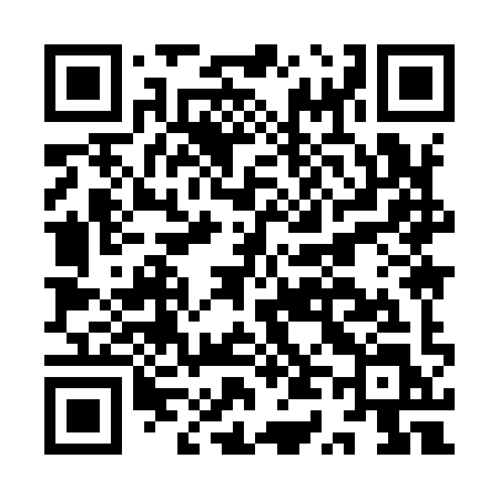 QR code for IT999L