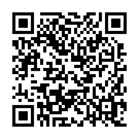 QR code for IV029L