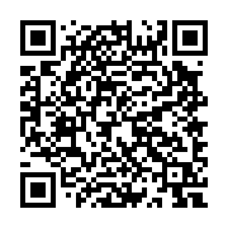 QR code for IV509P