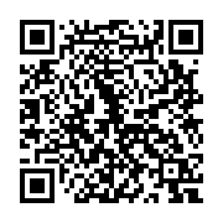 QR code for IY313S