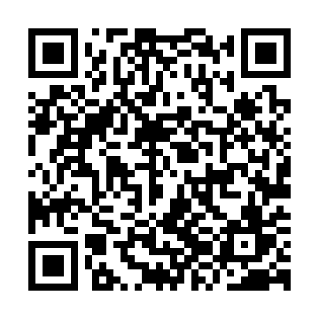 QR code for IZL31V