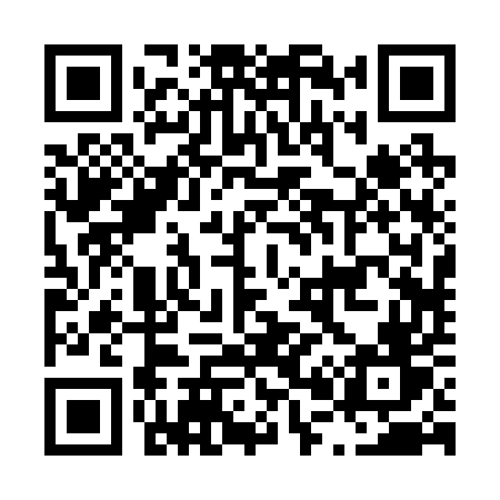 QR code for L0225V