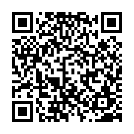 QR code for L0313V