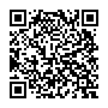 QR code for L0366N