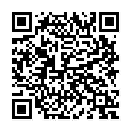 QR code for L0913H