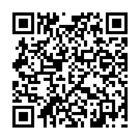 QR code for L11WPF