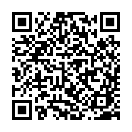 QR code for L1225C