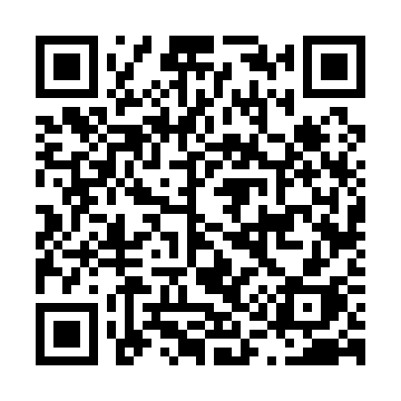 QR code for L1613H