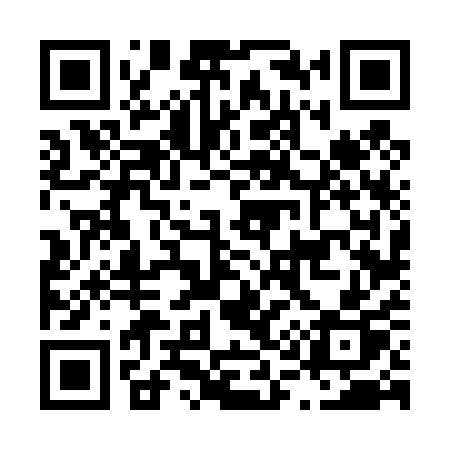 QR code for L1641P