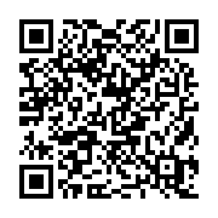 QR code for L2196D