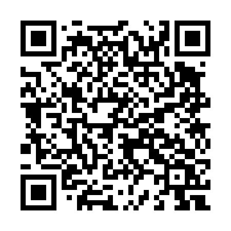 QR code for L2346V