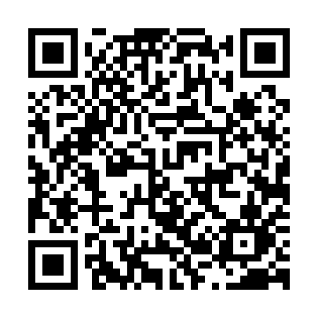 QR code for L2411N