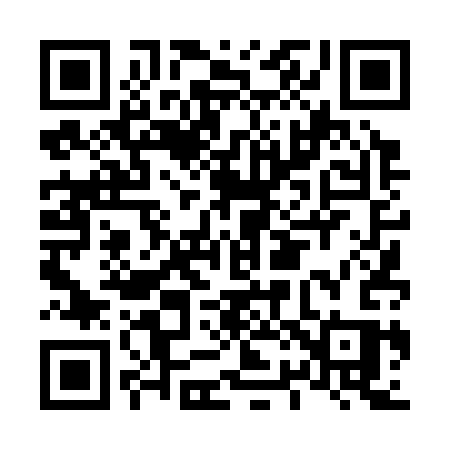 QR code for L2433S