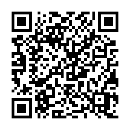 QR code for L272PV