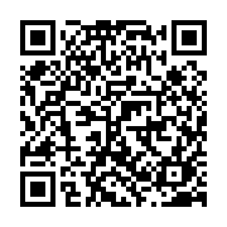 QR code for L2911L