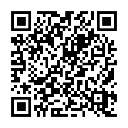 QR code for L2916X
