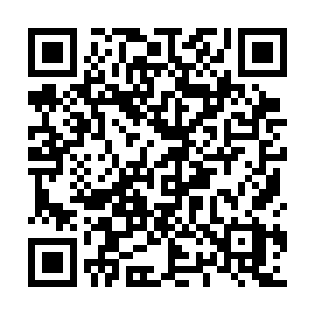 QR code for L293FX