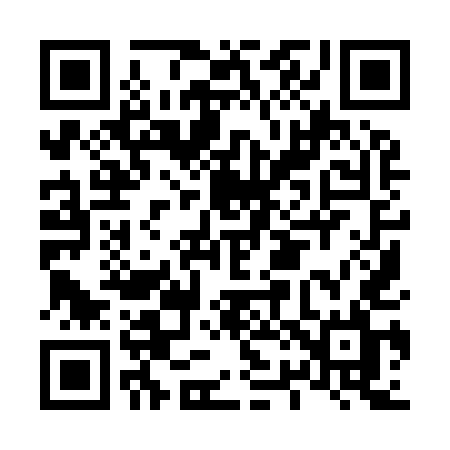 QR code for L2995L