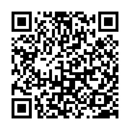 QR code for L3101X