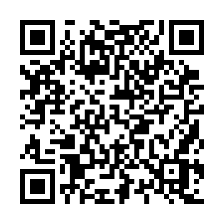 QR code for L313GV