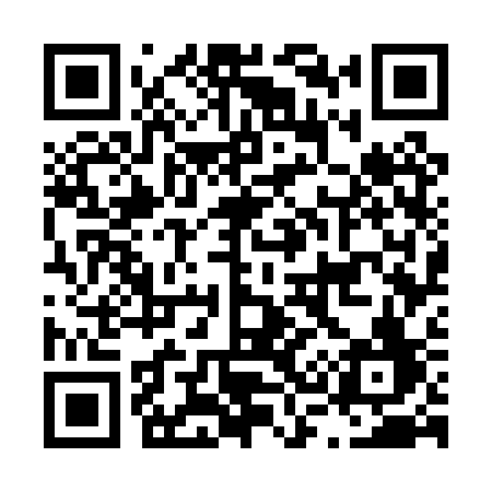 QR code for L370SF