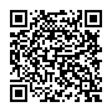 QR code for L3881Z