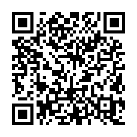 QR code for L419LI