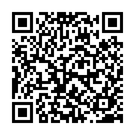 QR code for L4729L
