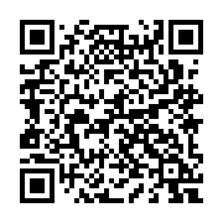 QR code for L491IF