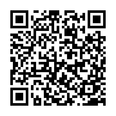 QR code for L493TU