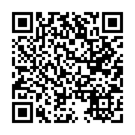 QR code for L509JN
