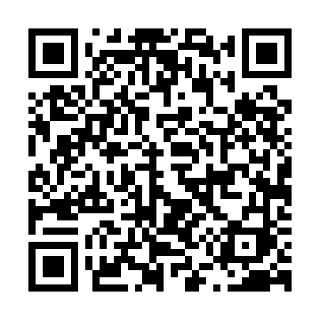 QR code for L541FI
