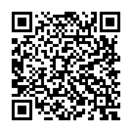 QR code for L5595Z