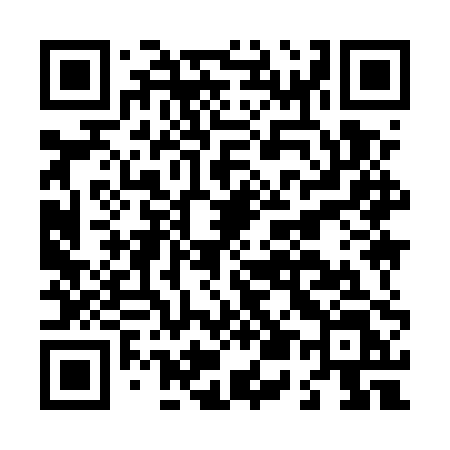 QR code for L595PL