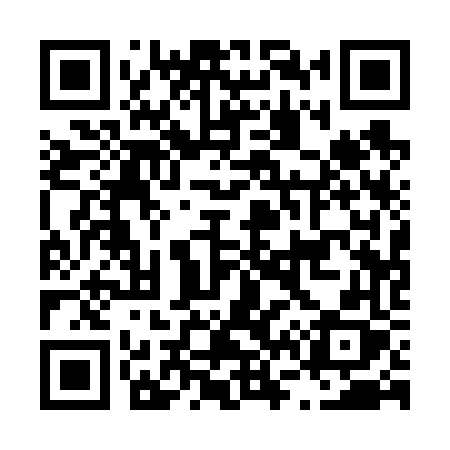 QR code for L6166X