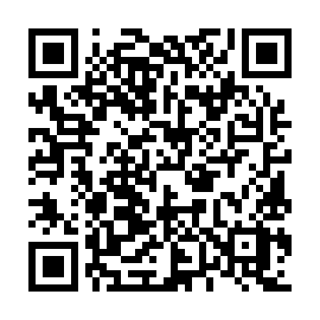 QR code for L6519X
