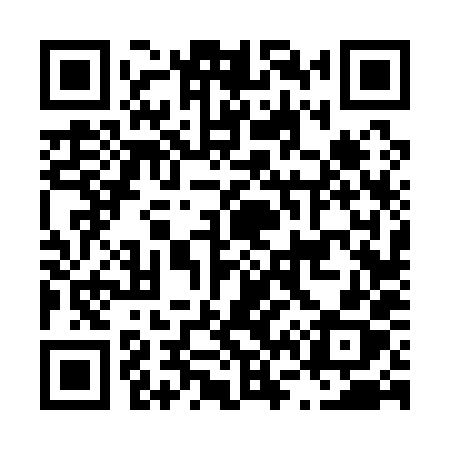 QR code for L6618X