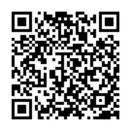 QR code for L691YI