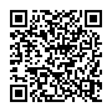 QR code for L8095T