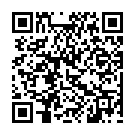 QR code for L863MS