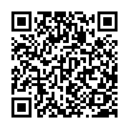 QR code for L9081Z