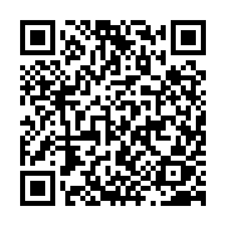 QR code for L911QZ