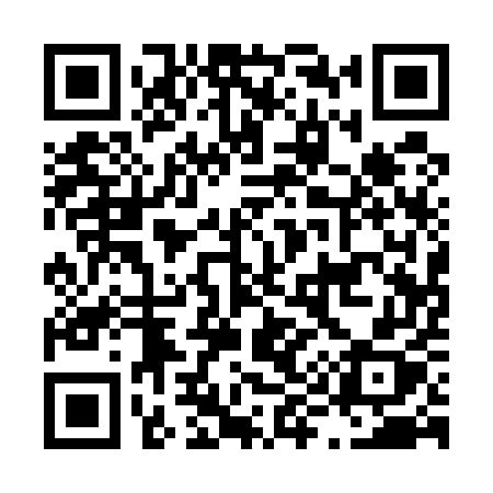 QR code for L9155X