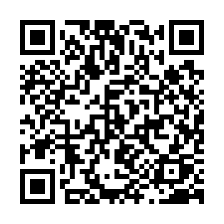 QR code for L9173P
