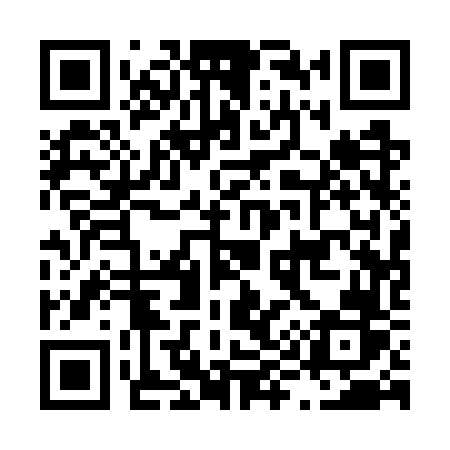 QR code for L917VR