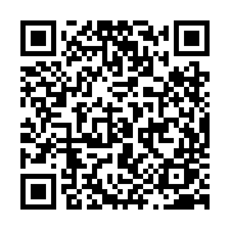 QR code for L91SNP