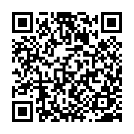 QR code for L9509R
